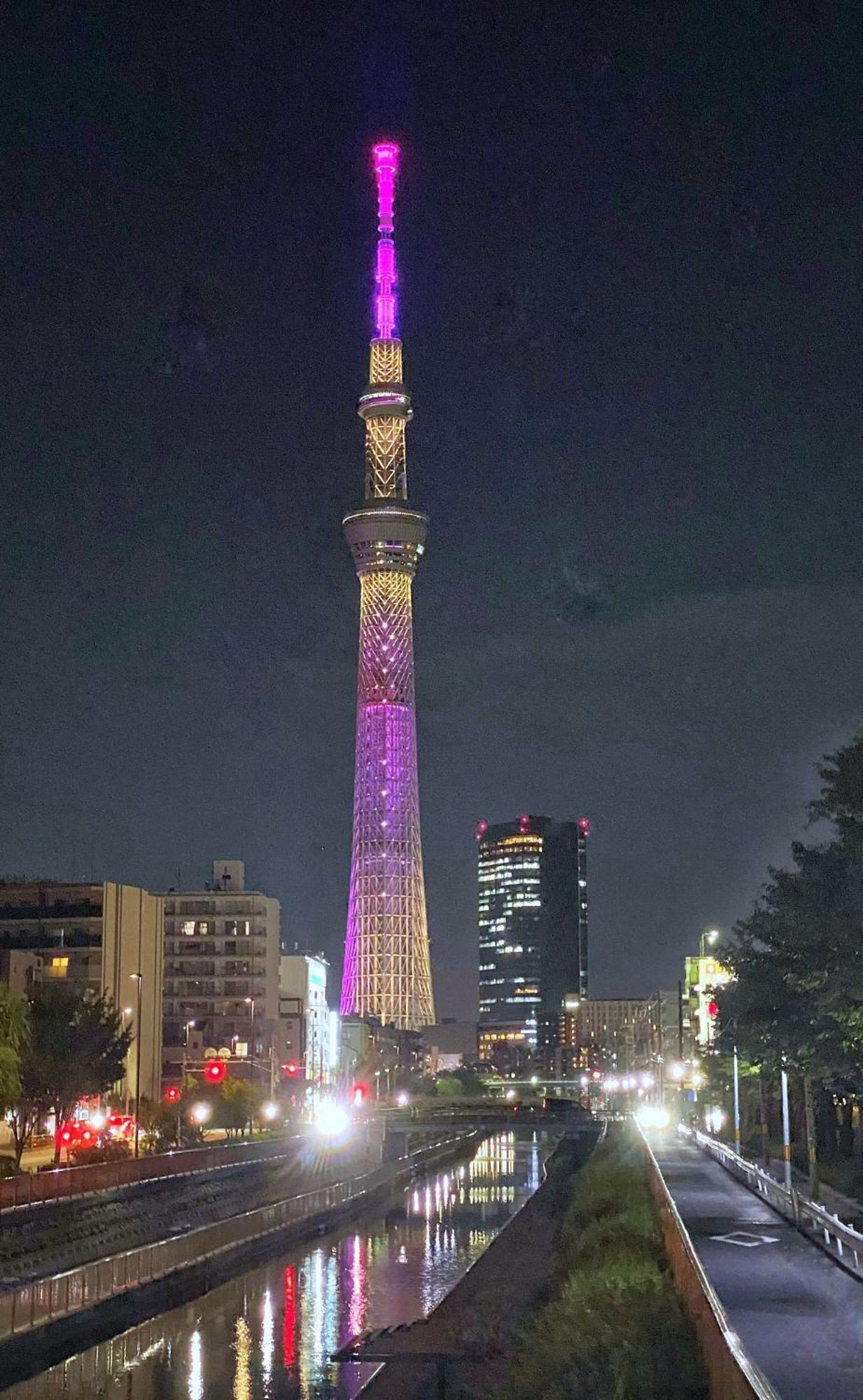 Tokyo Sakura Hotel Ngoại thất bức ảnh